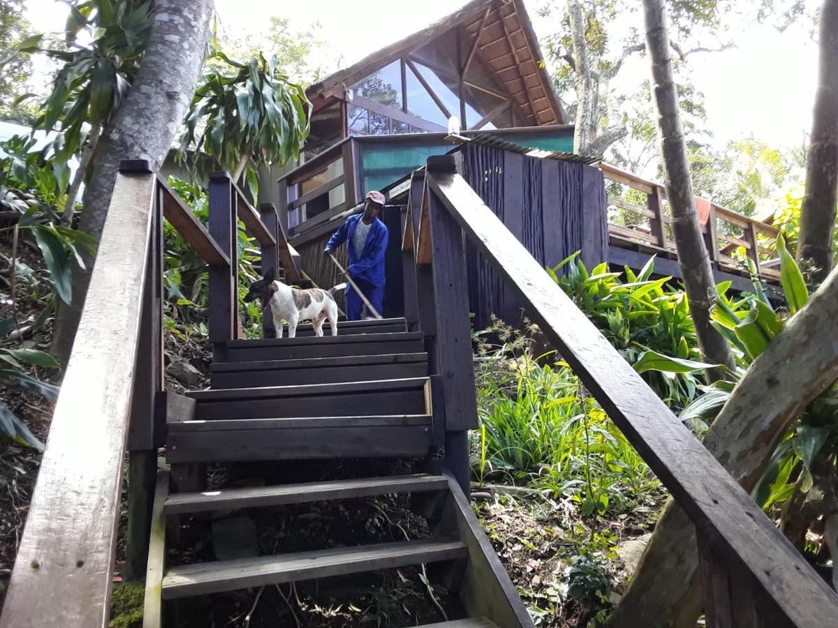 Delicious Monster Accommodation Port Saint John's Bagian luar foto