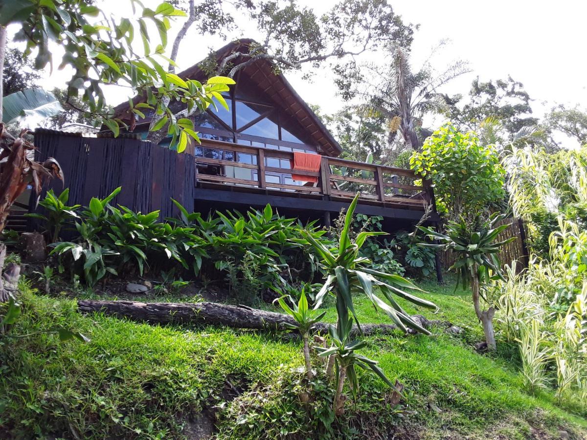 Delicious Monster Accommodation Port Saint John's Bagian luar foto