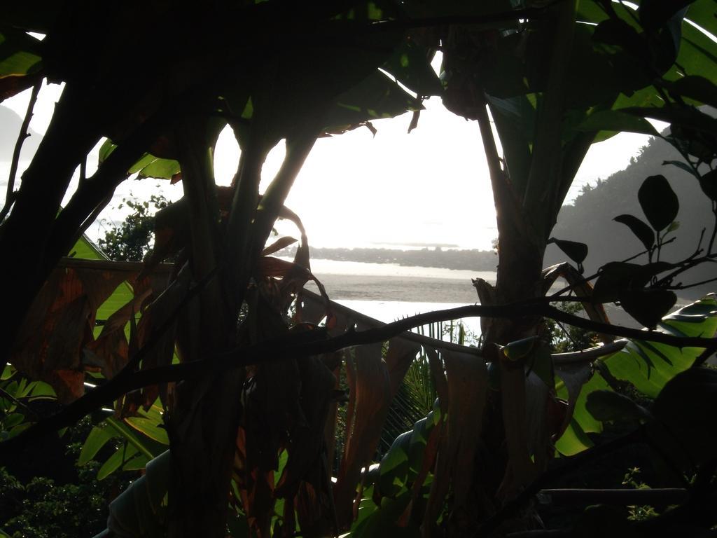 Delicious Monster Accommodation Port Saint John's Bagian luar foto