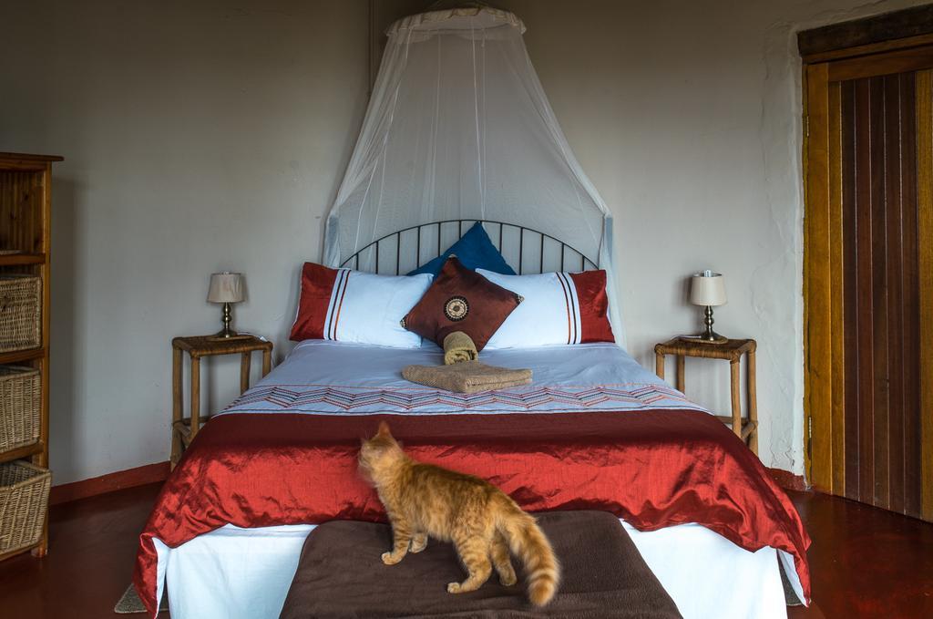 Delicious Monster Accommodation Port Saint John's Bagian luar foto